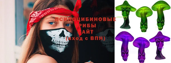 герыч Арсеньев