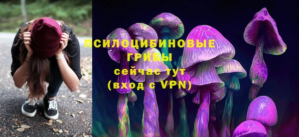 герыч Арсеньев