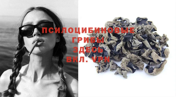 spice Армянск